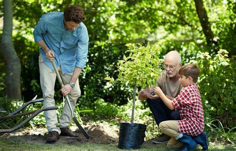 plant a tree donation uk.